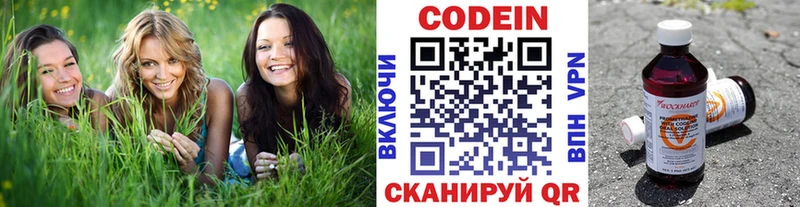 Codein напиток Lean (лин)  Купить закладки  Терек 