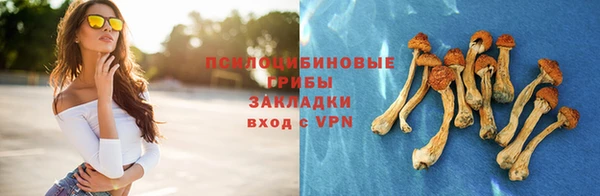 стаф Балахна