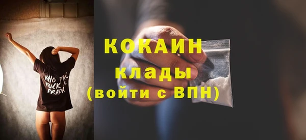 стаф Балахна
