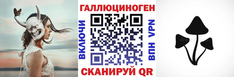 Галлюциногенные грибы Psilocybine cubensis  Купить  Терек 